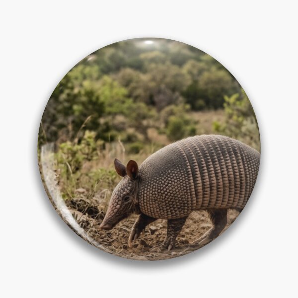Item preview, Armadillo crossing the land designed and sold by Malisa345.