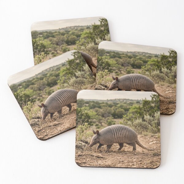 Item preview, Armadillo crossing the land designed and sold by Malisa345.