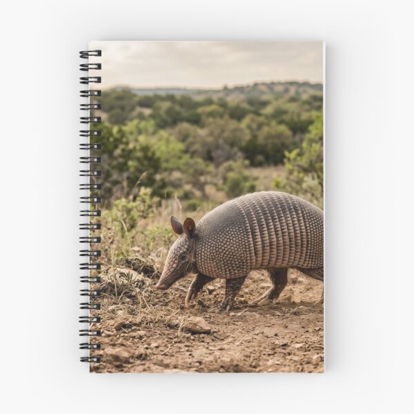 Item preview, Armadillo crossing the land designed and sold by Malisa345.