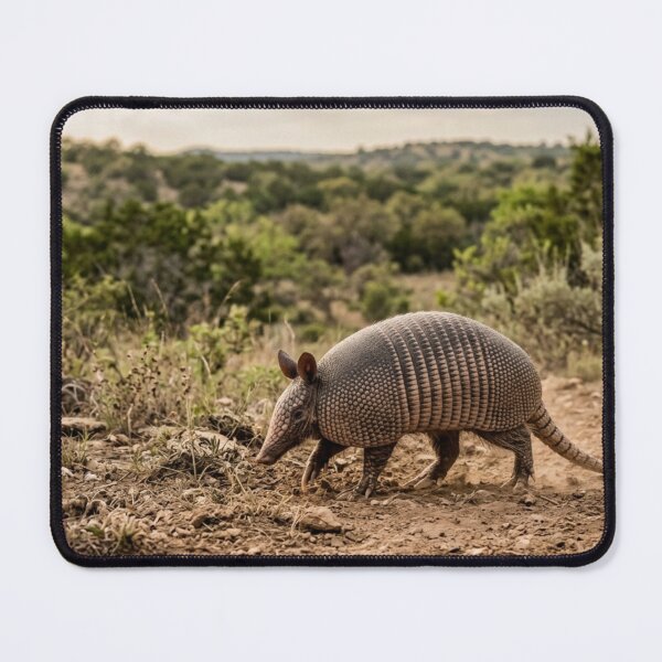 Item preview, Armadillo crossing the land designed and sold by Malisa345.