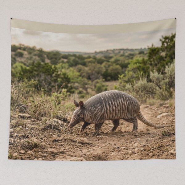 Item preview, Armadillo crossing the land designed and sold by Malisa345.