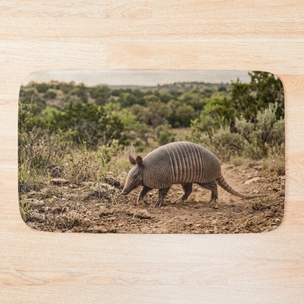 Item preview, Armadillo crossing the land designed and sold by Malisa345.