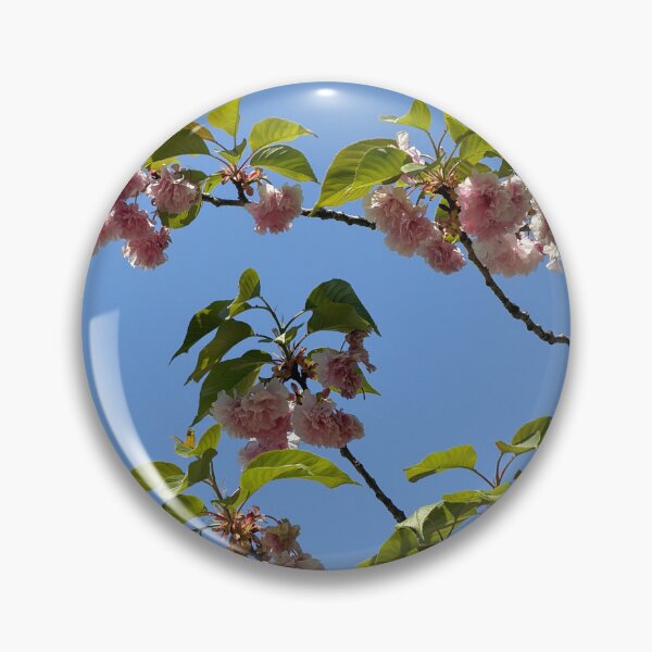 Item preview, Double cherry blossom flower blue sky photo designed and sold by dhaydream.