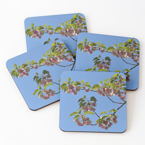 Item preview, Double cherry blossom flower blue sky photo designed and sold by dhaydream.
