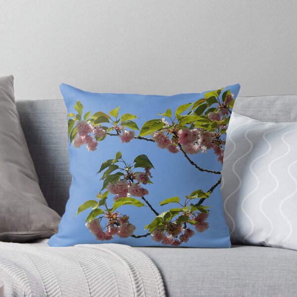 Item preview, Double cherry blossom flower blue sky photo designed and sold by dhaydream.