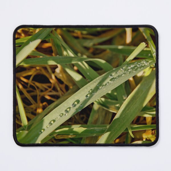 Item preview, Sparkling Dew Drops on Sunlit Grass designed and sold by ShotsbyDesiree.