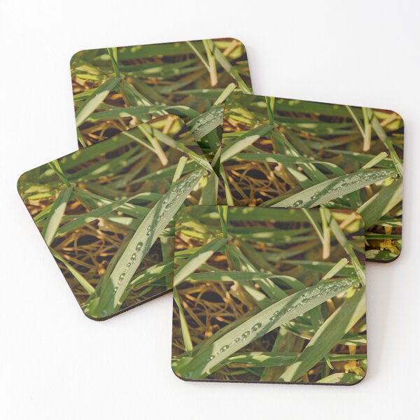 Item preview, Sparkling Dew Drops on Sunlit Grass designed and sold by ShotsbyDesiree.