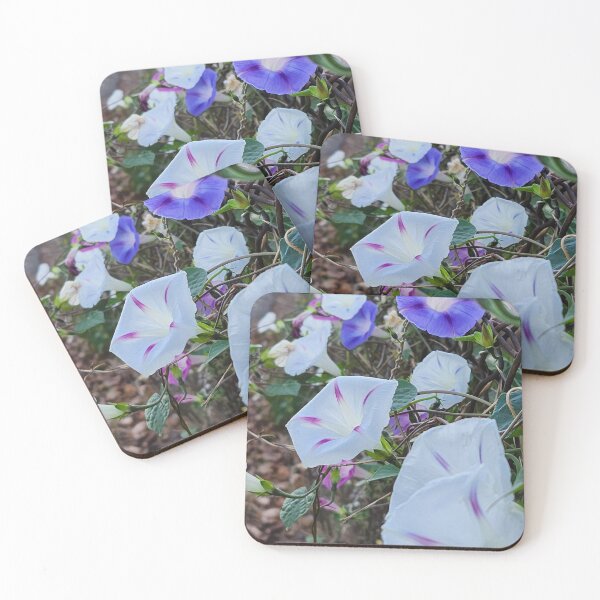 Item preview, Morning Glory designed and sold by Shellie Bruner.