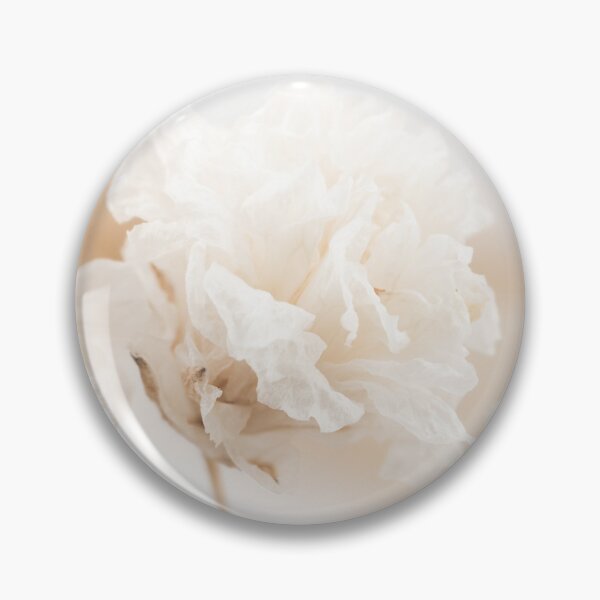 Item preview, Three Romantic gypsophila beige and white tiny flowers macro designed and sold by TanalyFlowers.
