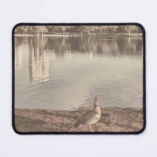 Item preview, Urban Lake with Egyptian Goose designed and sold by LeonidasBratini.
