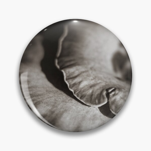 Item preview, Bay Polypore designed and sold by David Bowman.