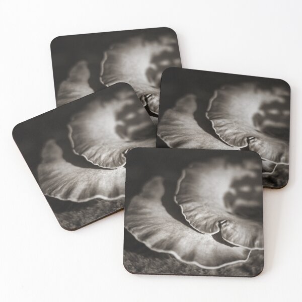 Item preview, Bay Polypore designed and sold by David Bowman.