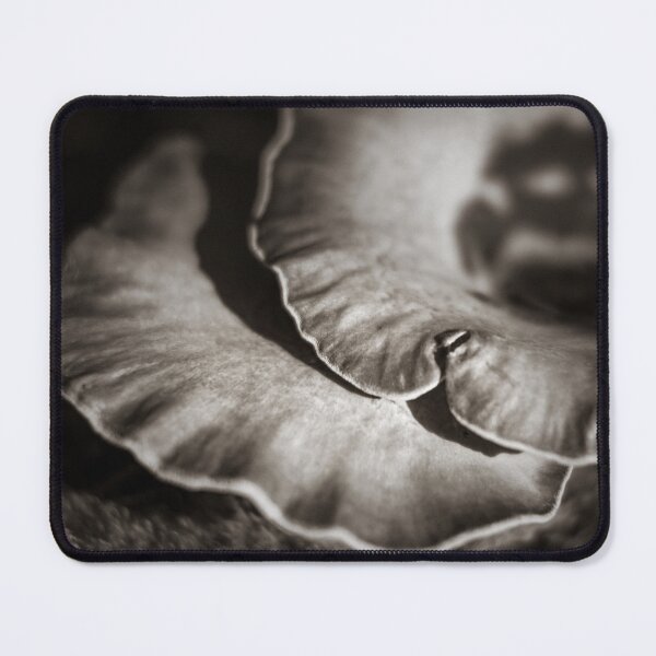 Item preview, Bay Polypore designed and sold by David Bowman.