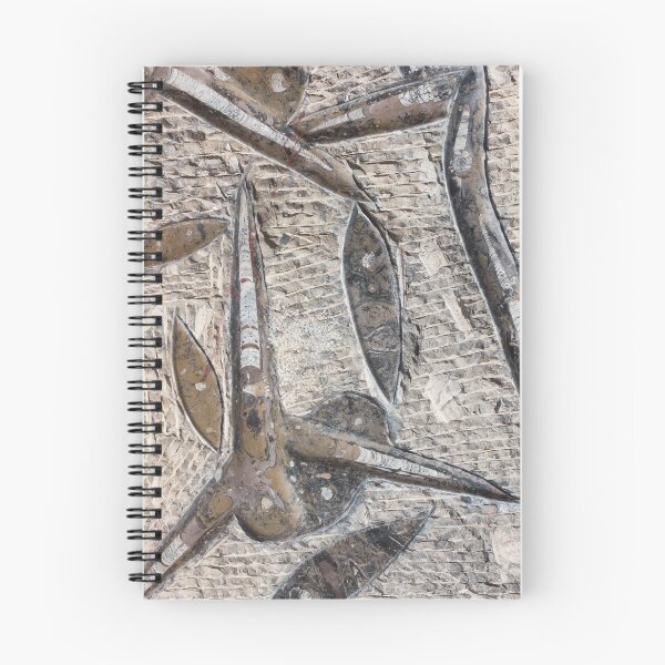 Item preview,  Fossilised Marine Animals in Fossil Slab designed and sold by HappyBunny3.