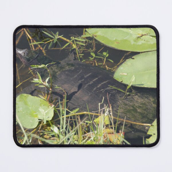 Item preview, Turtleflauge designed and sold by MatthewThomasDaniels.