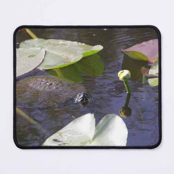 Item preview, To Eat or Not to Eat, A Turtle’s Query designed and sold by MatthewThomasDaniels.