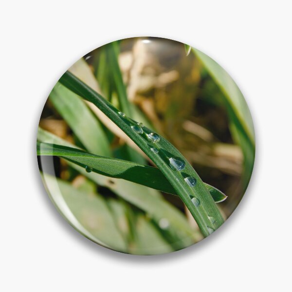 Item preview, Clear Dewdrops on Vibrant Green Grass designed and sold by ShotsbyDesiree.