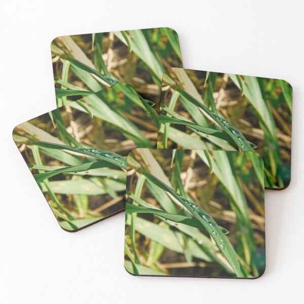 Item preview, Clear Dewdrops on Vibrant Green Grass designed and sold by ShotsbyDesiree.