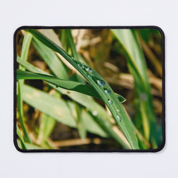 Item preview, Clear Dewdrops on Vibrant Green Grass designed and sold by ShotsbyDesiree.