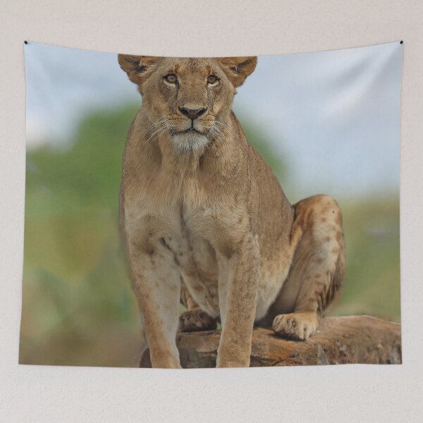 Item preview, Lioness on a rock designed and sold by Anthony Goldman.