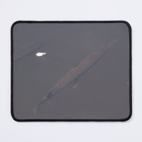 Item preview, 1 Fish 2 Fish designed and sold by MatthewThomasDaniels.