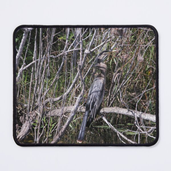Item preview, Bird of Prey designed and sold by MatthewThomasDaniels.