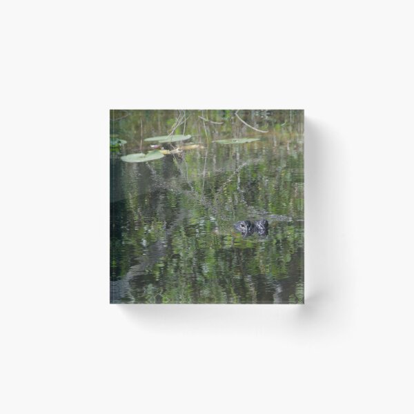 Item preview, Alligator Eyes Only designed and sold by MatthewThomasDaniels.