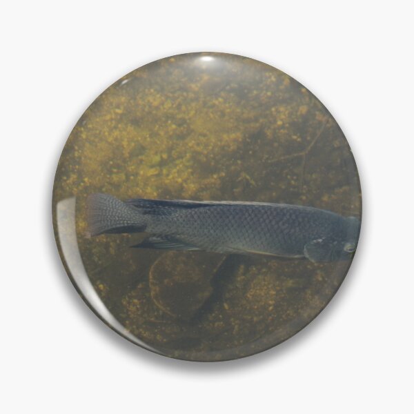 Item preview, A Fish’s Life designed and sold by MatthewThomasDaniels.