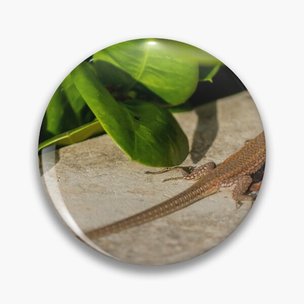 Item preview, Small Brown Lizard Basking on Garden Stone Among Green Leaves and Fallen Flowers in Sunlight designed and sold by Nmallia.