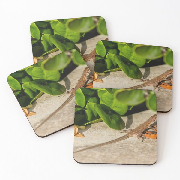 Item preview, Small Brown Lizard Basking on Garden Stone Among Green Leaves and Fallen Flowers in Sunlight designed and sold by Nmallia.