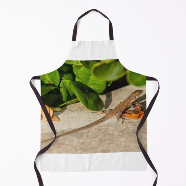 Item preview, Small Brown Lizard Basking on Garden Stone Among Green Leaves and Fallen Flowers in Sunlight designed and sold by Nmallia.
