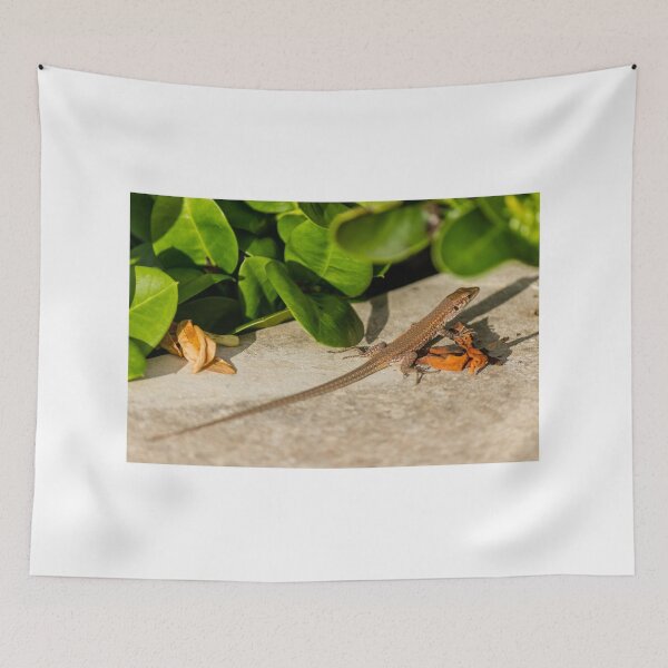 Item preview, Small Brown Lizard Basking on Garden Stone Among Green Leaves and Fallen Flowers in Sunlight designed and sold by Nmallia.