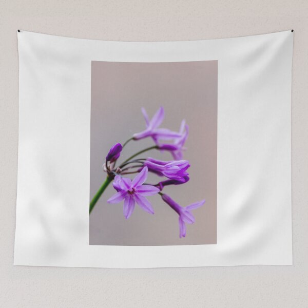 Item preview, Purple Wildflower Close-Up Macro Photo With Soft Background and Delicate Star-Shaped Blooms designed and sold by Nmallia.