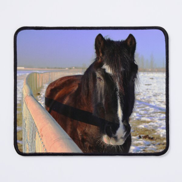 Item preview, Mahogany Bay Draft Horse in Winter Snow designed and sold by Lainey1978.