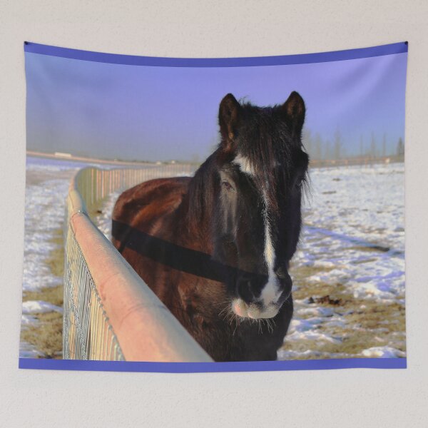 Item preview, Mahogany Bay Draft Horse in Winter Snow designed and sold by Lainey1978.
