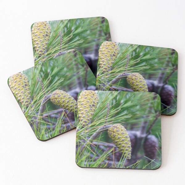 Item preview, Close-Up of Green Pine Cones and Needles on a Pine Tree Branch in Natural Forest designed and sold by Nmallia.