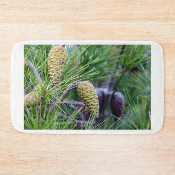 Item preview, Close-Up of Green Pine Cones and Needles on a Pine Tree Branch in Natural Forest designed and sold by Nmallia.