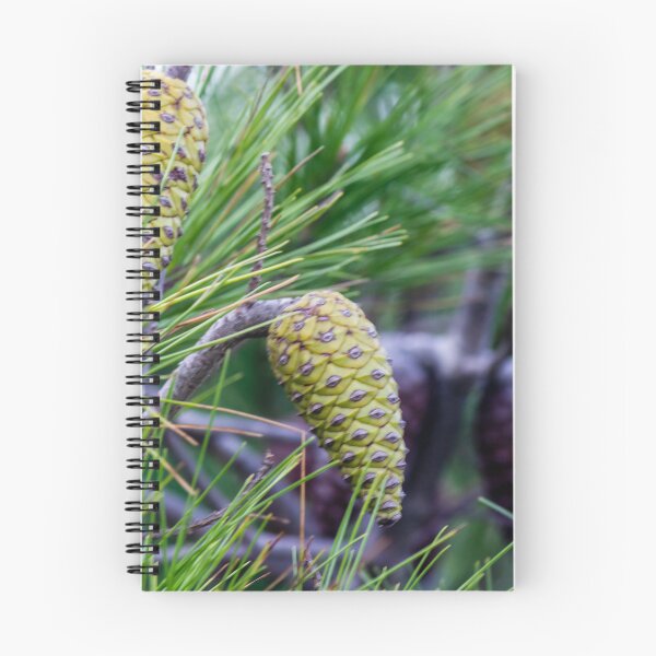 Item preview, Close-Up of Green Pine Cones and Needles on a Pine Tree Branch in Natural Forest designed and sold by Nmallia.