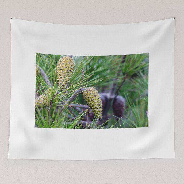 Item preview, Close-Up of Green Pine Cones and Needles on a Pine Tree Branch in Natural Forest designed and sold by Nmallia.