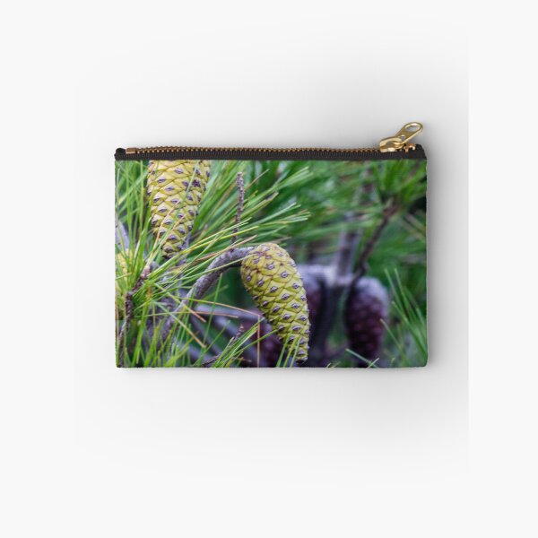 Item preview, Close-Up of Green Pine Cones and Needles on a Pine Tree Branch in Natural Forest designed and sold by Nmallia.