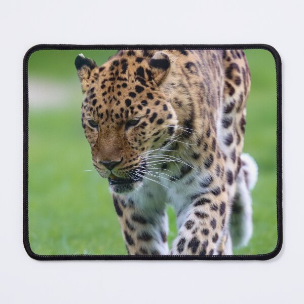 Item preview, leopard stroll designed and sold by wild78.