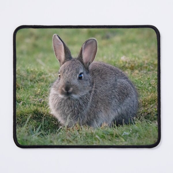 Item preview, Ears looking at you designed and sold by RedGrouse.