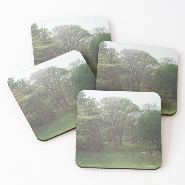 Item preview, Ansley Park Spring Morning — 35mm Film Photography Print | Atlanta Green Space Wall Art designed and sold by Life in 35.