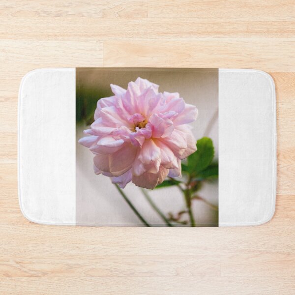 Item preview, Soft Pink Rose Bloom Close-Up With Gentle Light and Green Leaves In Garden designed and sold by Nmallia.