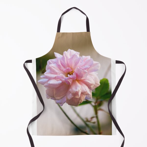 Item preview, Soft Pink Rose Bloom Close-Up With Gentle Light and Green Leaves In Garden designed and sold by Nmallia.