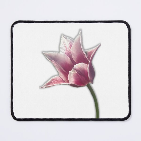 Item preview, Pink Tulip Bloom Minimal Floral Aesthetic designed and sold by aadventures.