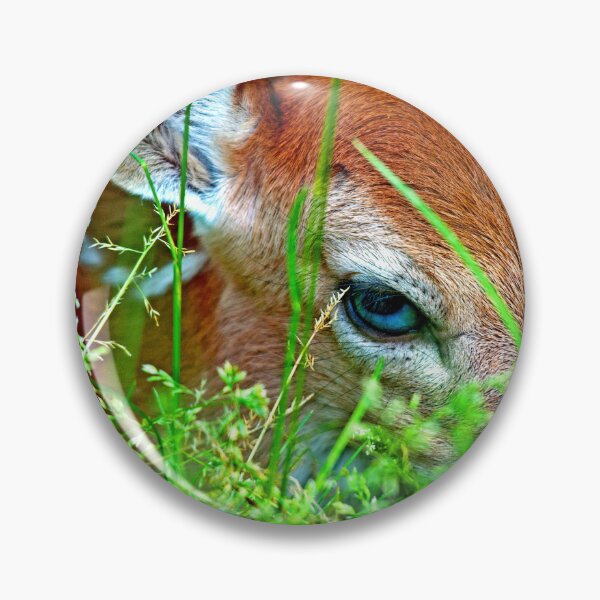Item preview, White-tailed Deer Fawn Peering Out from Meadow Grass designed and sold by AMacGPhilly.