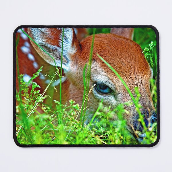 Item preview, White-tailed Deer Fawn Peering Out from Meadow Grass designed and sold by AMacGPhilly.