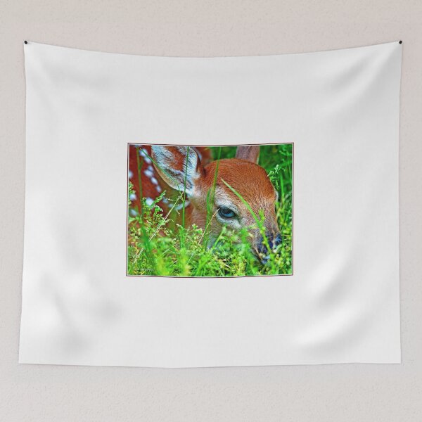 Item preview, White-tailed Deer Fawn Peering Out from Meadow Grass designed and sold by AMacGPhilly.