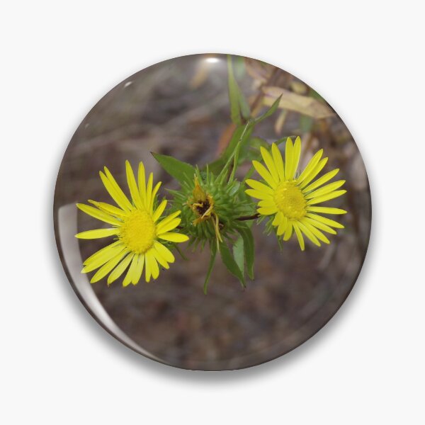 Item preview, Narrowleaf Gumweed Wildflowers designed and sold by Blossom-Breeze.